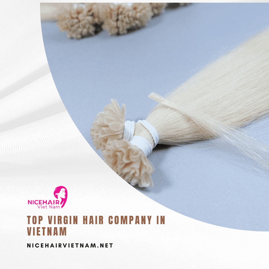 Top virgin hair company in vietnam