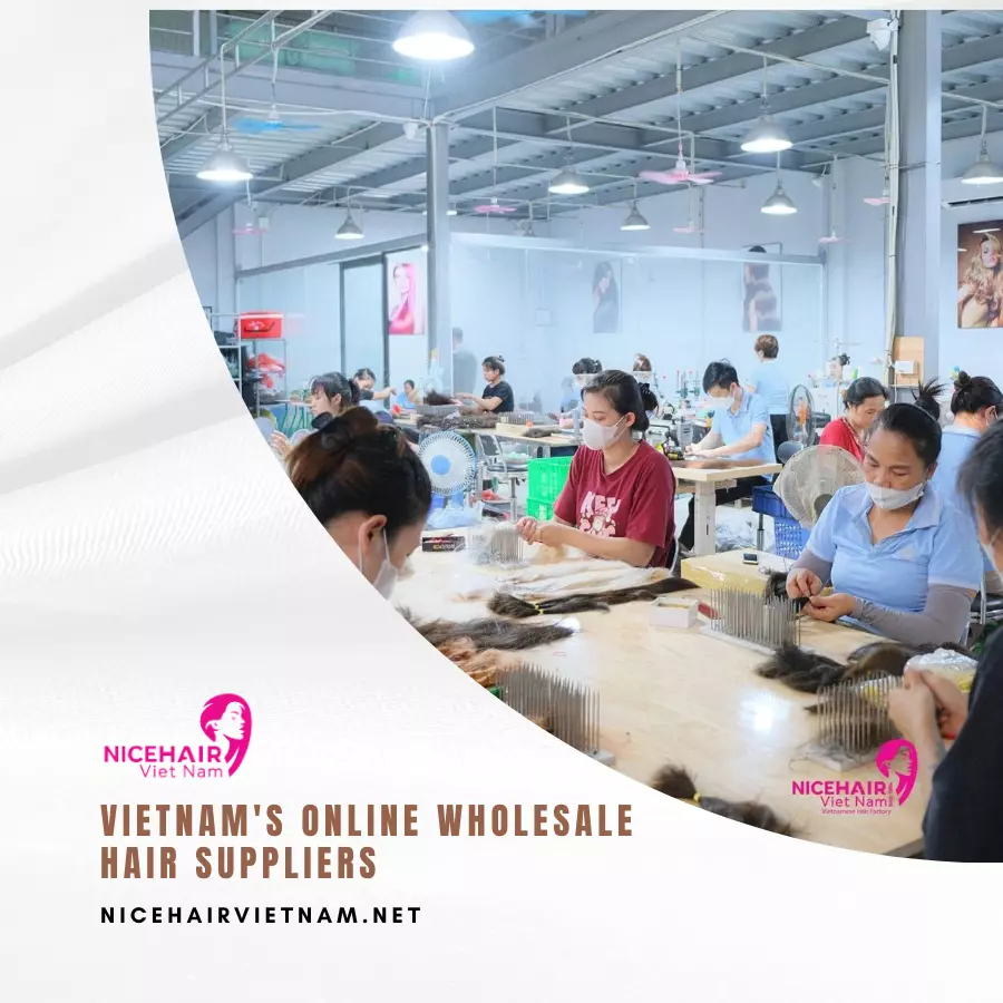 Vietnam's Online Wholesale Hair Suppliers